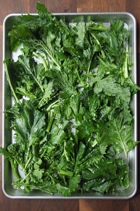 cc710b1e245dd7c2_Prepped-Broccoli-Rabe.xxxlarge_2x